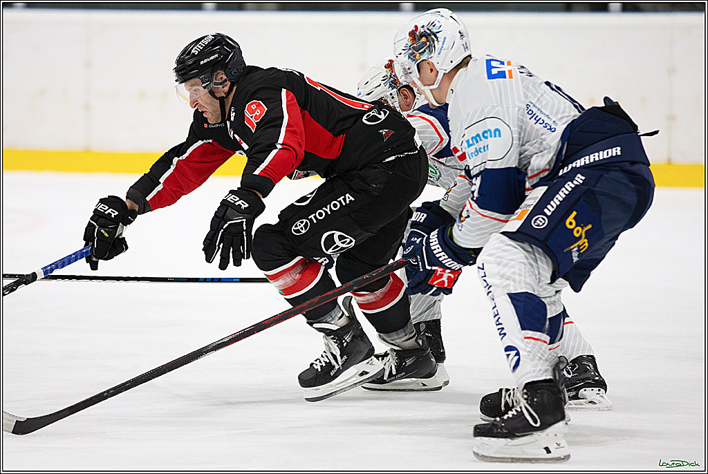 PENNY DEL;Testspiel Koelner Haie-Iserlohn Roosters; Koeln, 13.09.2024