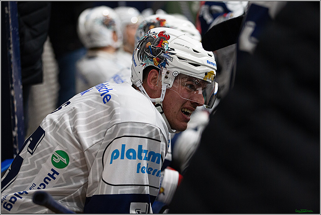 PENNY DEL;Testspiel Koelner Haie-Iserlohn Roosters; Koeln, 13.09.2024