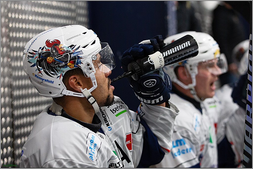 PENNY DEL;Testspiel Koelner Haie-Iserlohn Roosters; Koeln, 13.09.2024