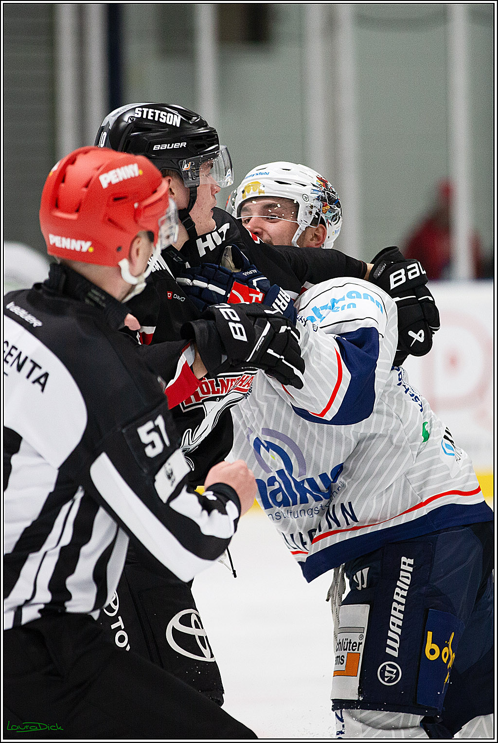 PENNY DEL;Testspiel Koelner Haie-Iserlohn Roosters; Koeln, 13.09.2024