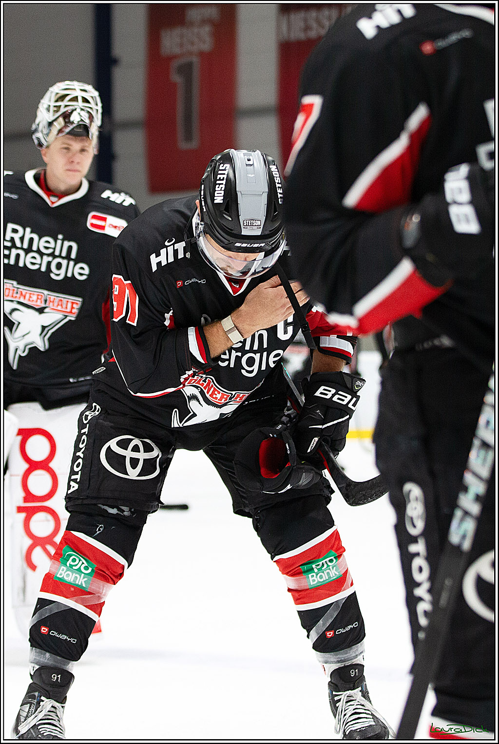 PENNY DEL;Testspiel Koelner Haie-Iserlohn Roosters; Koeln, 13.09.2024