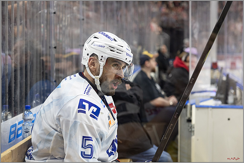 PENNY DEL 1; Kölner Haie - Adler Mannheim; Köln, 22.09.2024