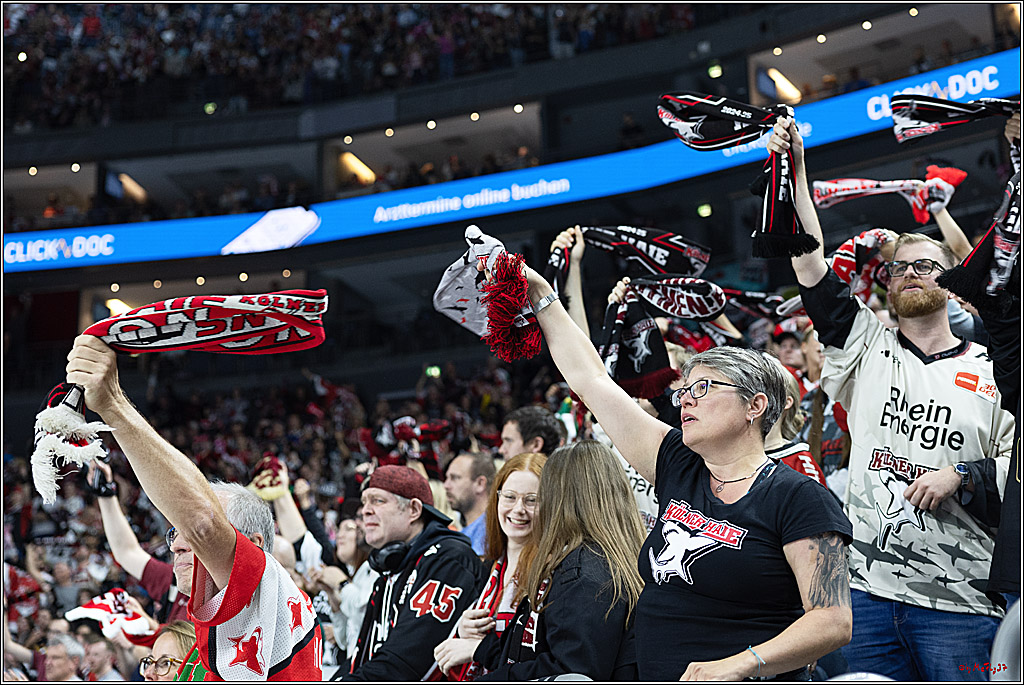 PENNY DEL 1; Kölner Haie - Adler Mannheim; Köln, 22.09.2024