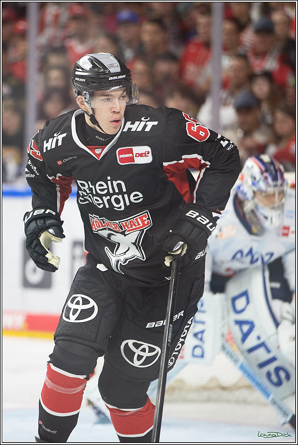 PENNY DEL; Koelner Haie- Adler Mannheim; Koeln, 22.09.2024