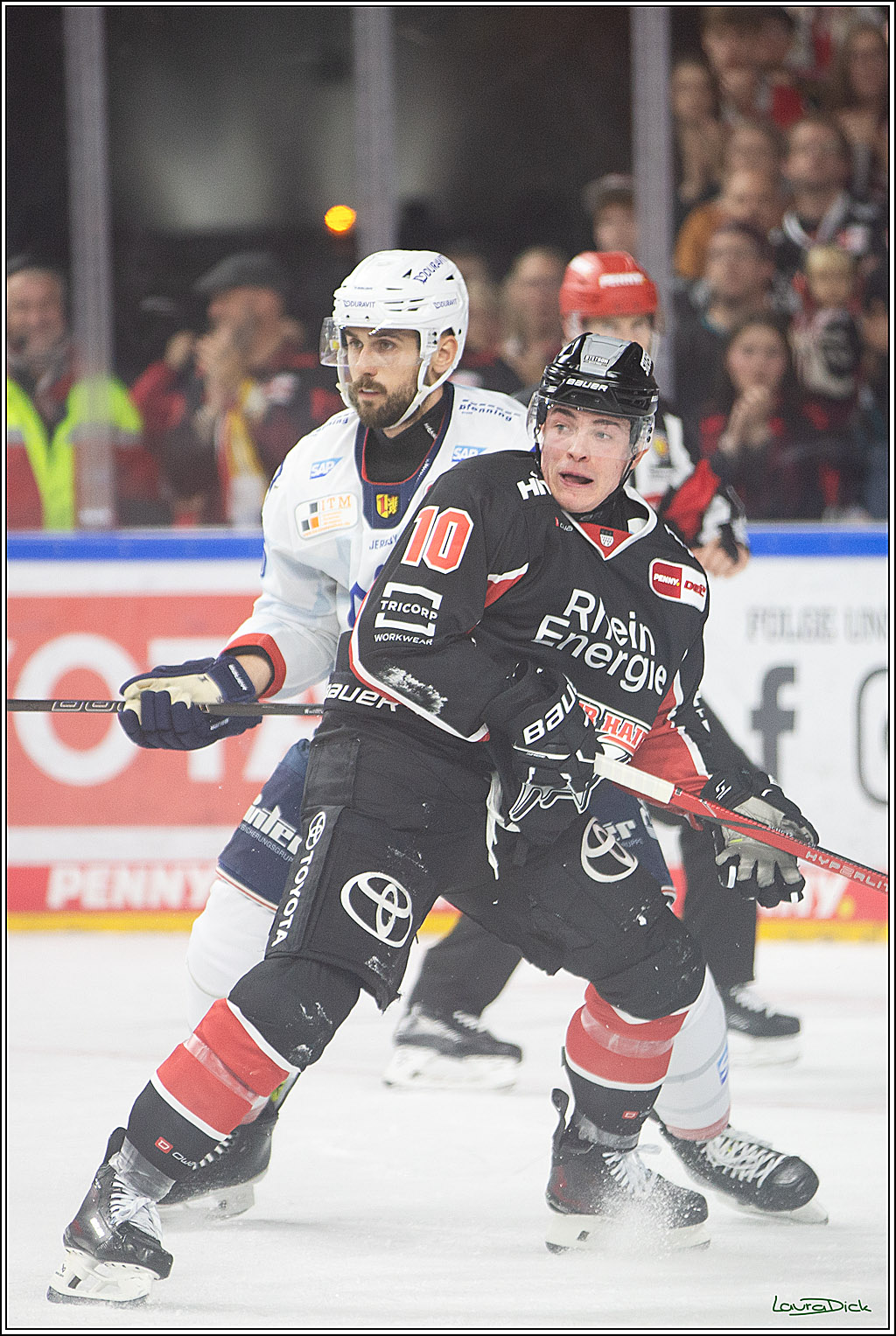 PENNY DEL; Koelner Haie- Adler Mannheim; Koeln, 22.09.2024