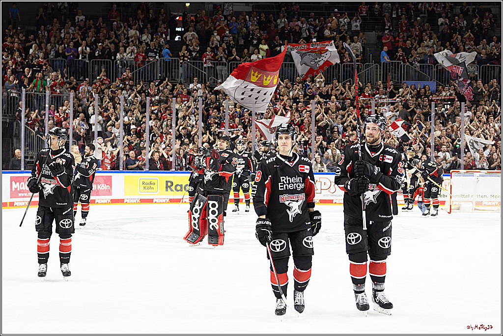 PENNY DEL 1; Kölner Haie - Adler Mannheim; Köln, 22.09.2024
