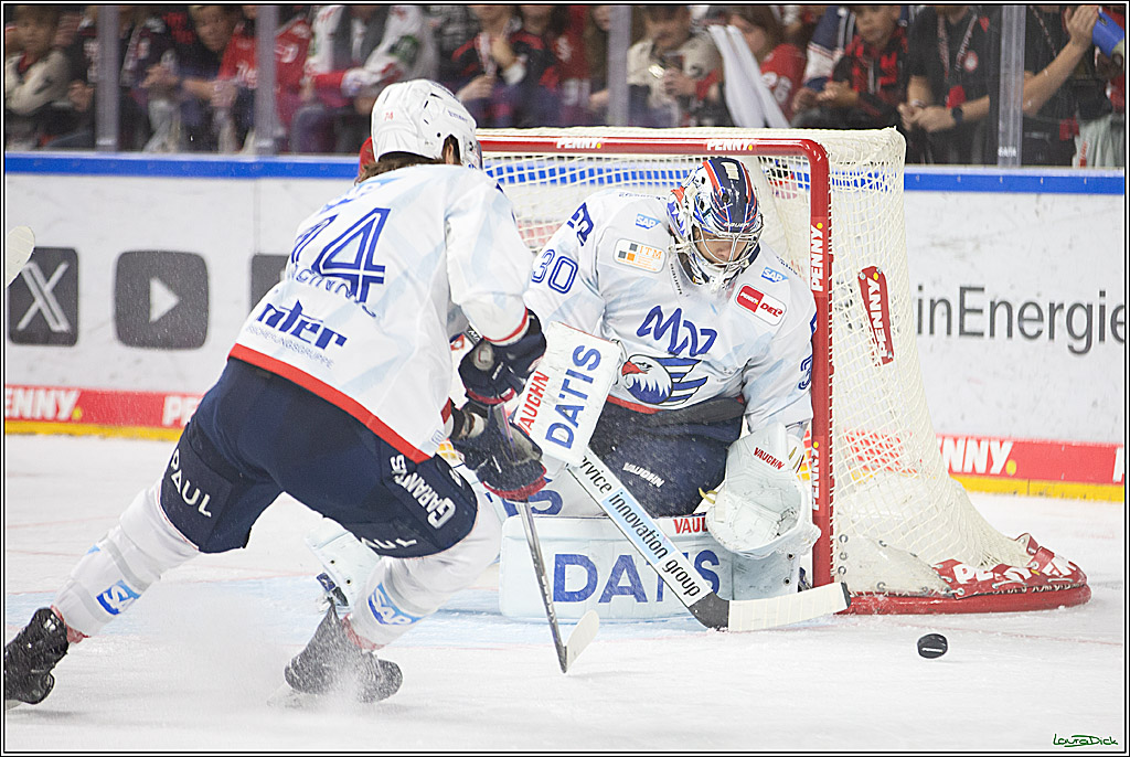 PENNY DEL; Koelner Haie- Adler Mannheim; Koeln, 22.09.2024