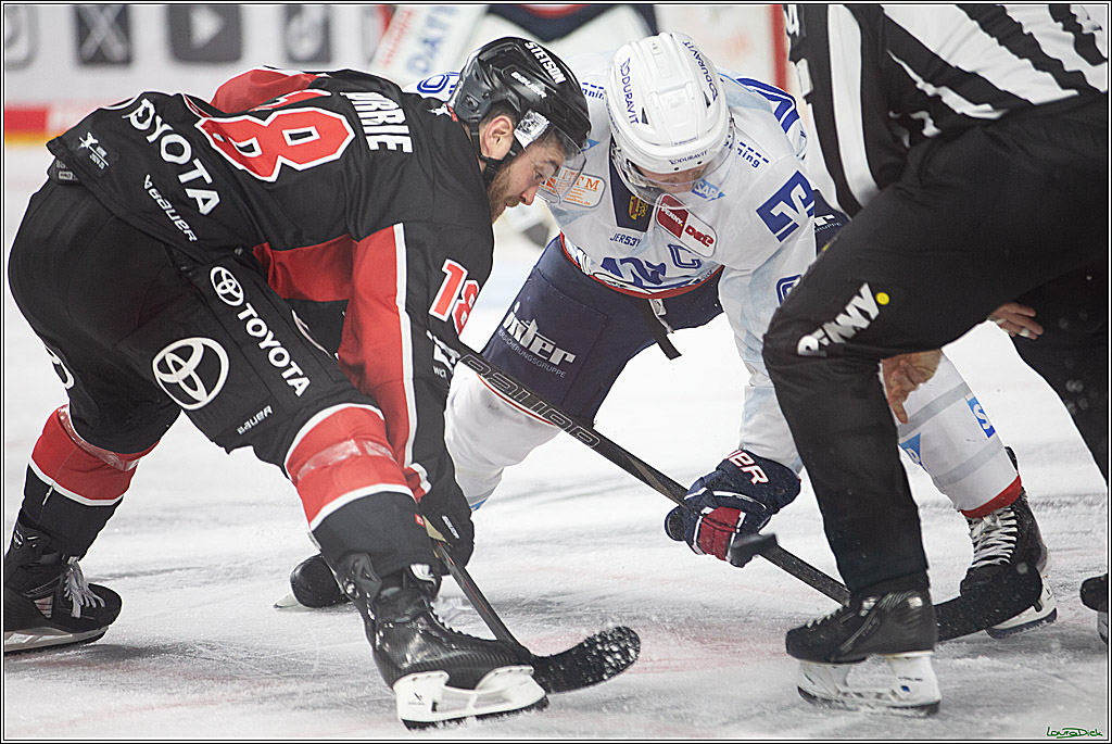 PENNY DEL; Koelner Haie- Adler Mannheim; Koeln, 22.09.2024