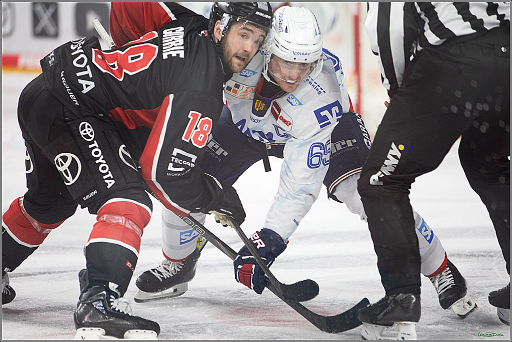 PENNY DEL; Koelner Haie- Adler Mannheim; Koeln, 22.09.2024
