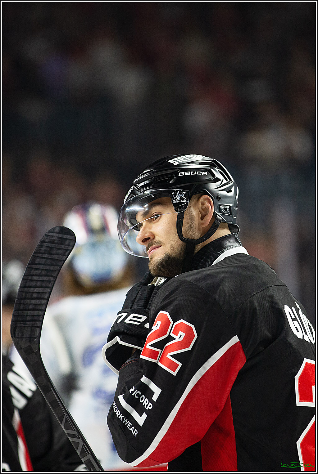 PENNY DEL; Koelner Haie- Adler Mannheim; Koeln, 22.09.2024