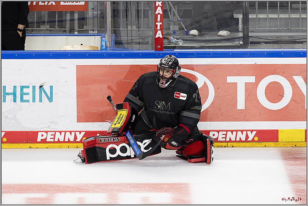 PENNY DEL 1; Kölner Haie - Adler Mannheim; Köln, 22.09.2024