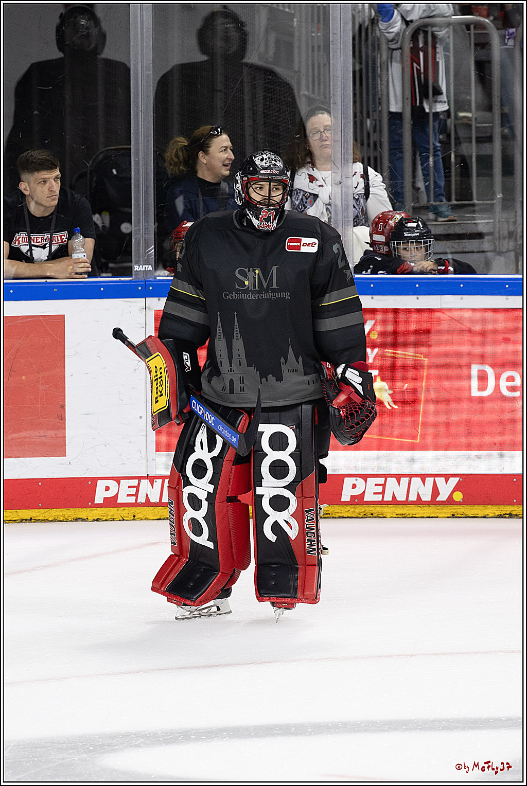 PENNY DEL 1; Kölner Haie - Adler Mannheim; Köln, 22.09.2024