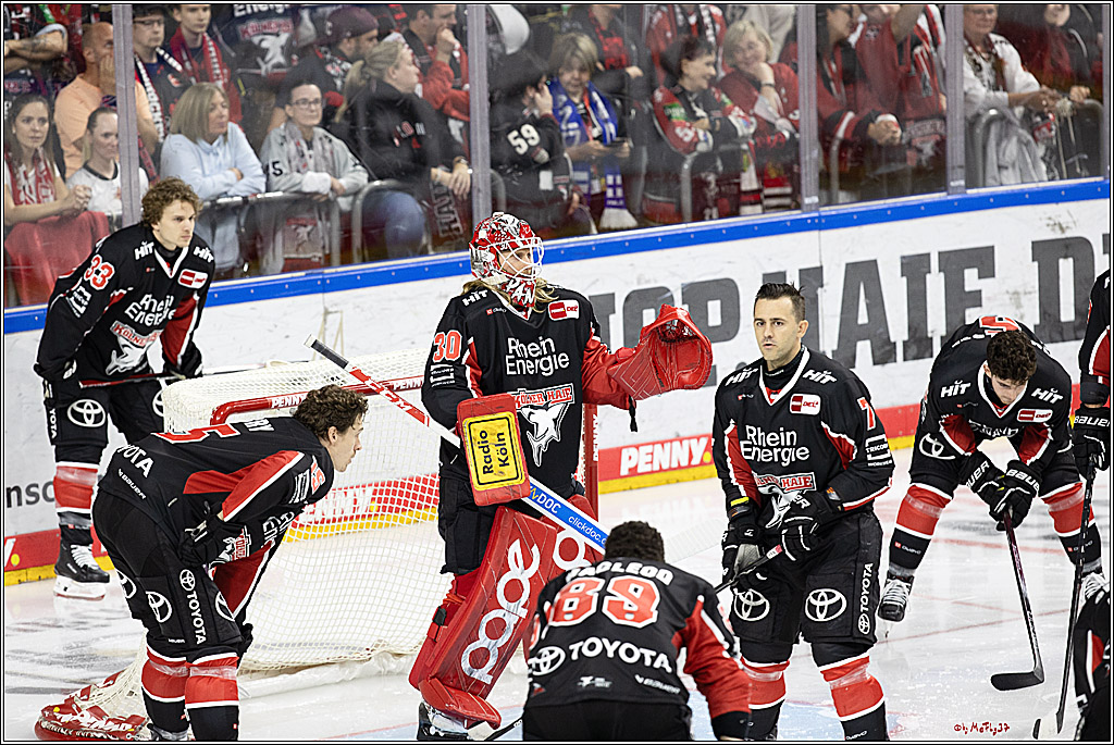 PENNY DEL 1; Kölner Haie - Adler Mannheim; Köln, 22.09.2024