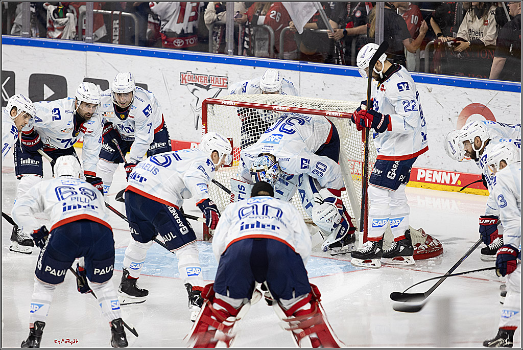 PENNY DEL 1; Kölner Haie - Adler Mannheim; Köln, 22.09.2024