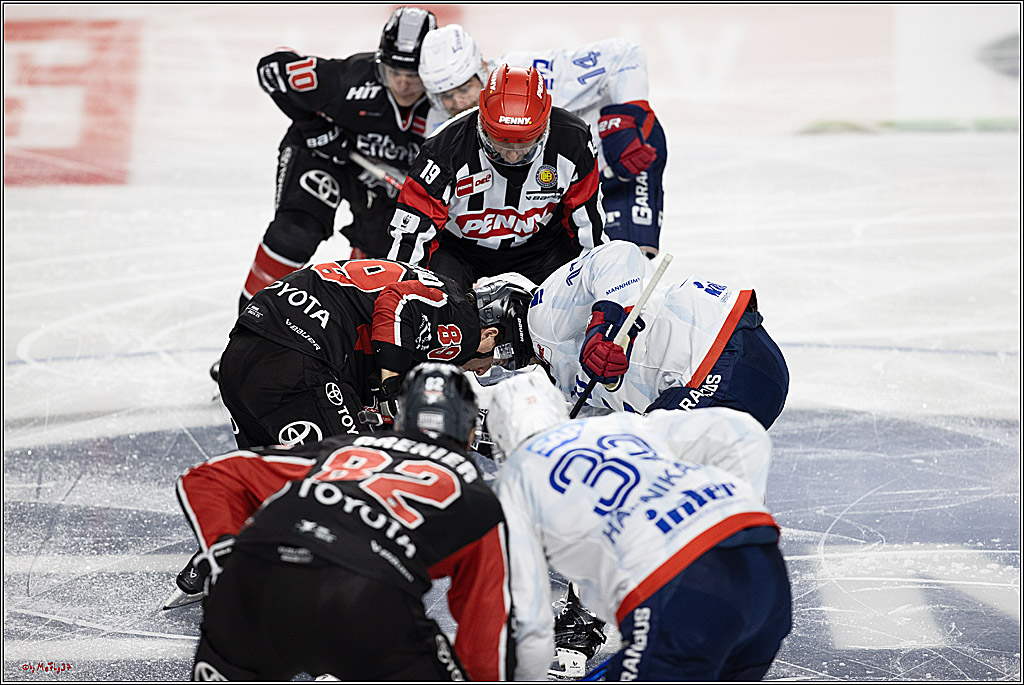PENNY DEL 1; Kölner Haie - Adler Mannheim; Köln, 22.09.2024