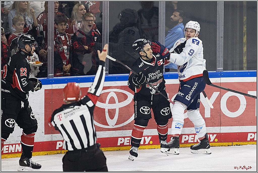 PENNY DEL 1; Kölner Haie - Adler Mannheim; Köln, 22.09.2024