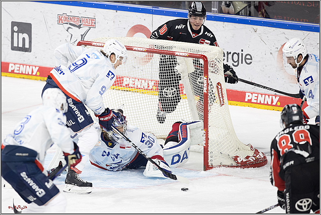 PENNY DEL 1; Kölner Haie - Adler Mannheim; Köln, 22.09.2024