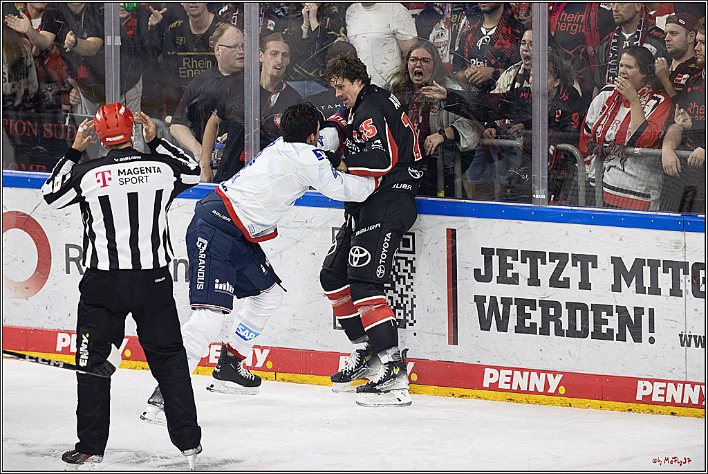 PENNY DEL 1; Kölner Haie - Adler Mannheim; Köln, 22.09.2024