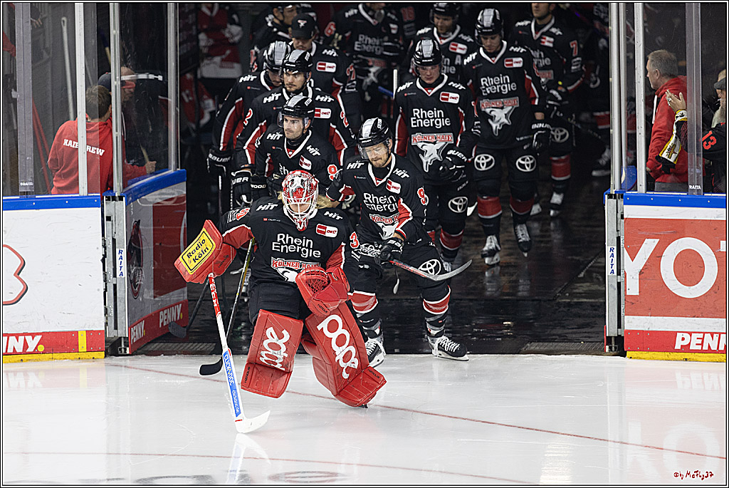 PENNY DEL 1; Kölner Haie - Adler Mannheim; Köln, 22.09.2024