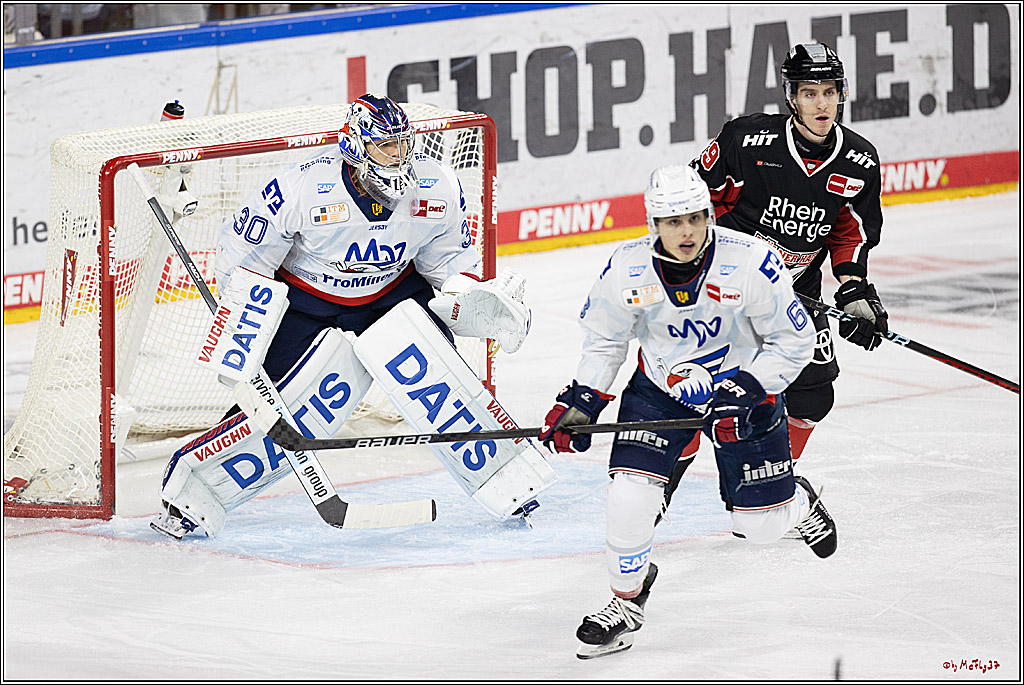 PENNY DEL 1; Kölner Haie - Adler Mannheim; Köln, 22.09.2024