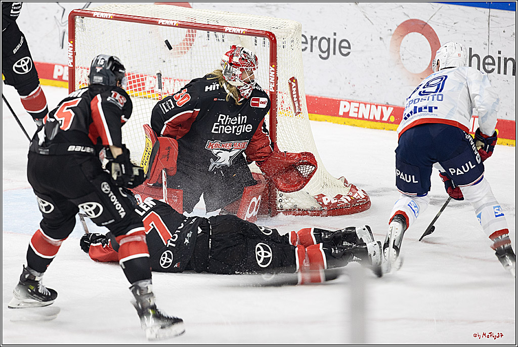 PENNY DEL 1; Kölner Haie - Adler Mannheim; Köln, 22.09.2024