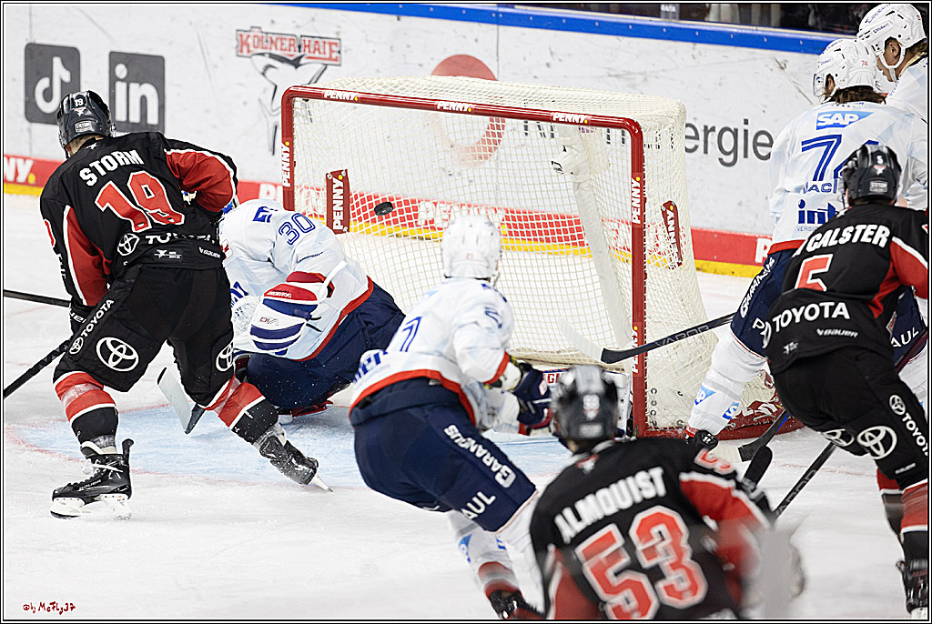 PENNY DEL 1; Kölner Haie - Adler Mannheim; Köln, 22.09.2024