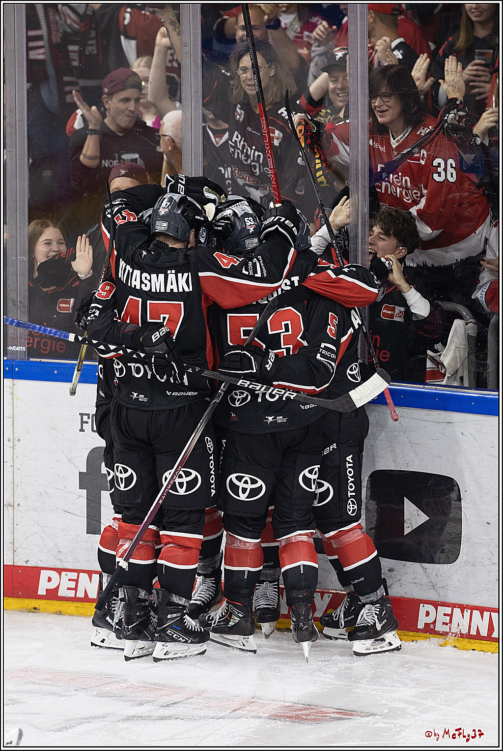 PENNY DEL 1; Kölner Haie - Adler Mannheim; Köln, 22.09.2024