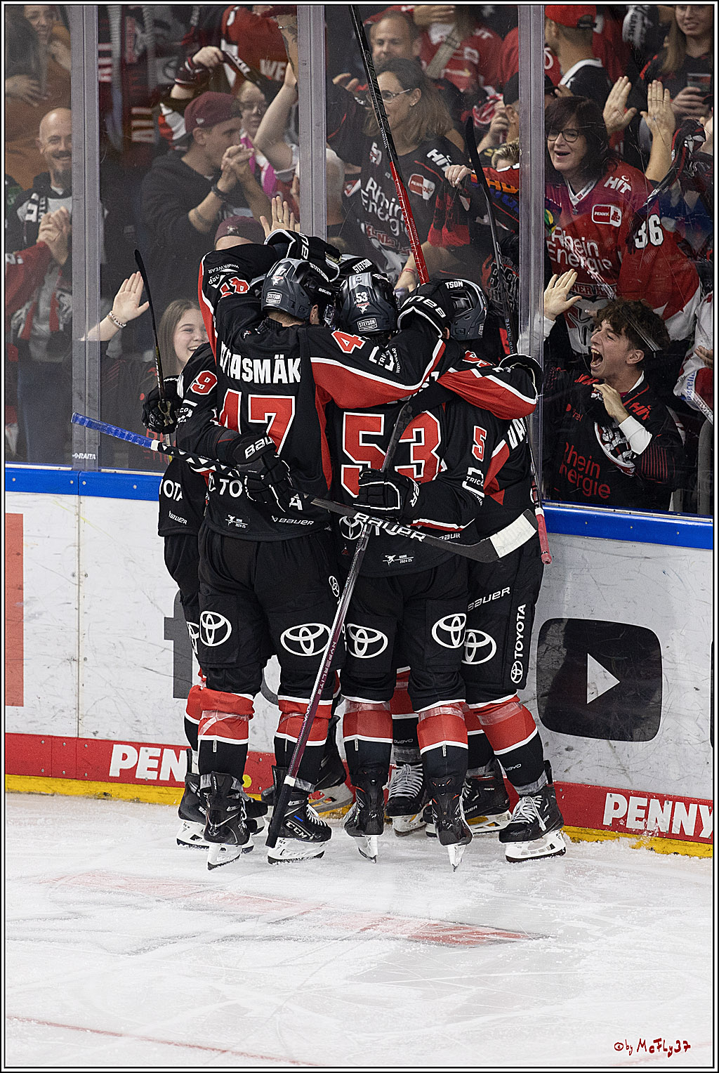 PENNY DEL 1; Kölner Haie - Adler Mannheim; Köln, 22.09.2024
