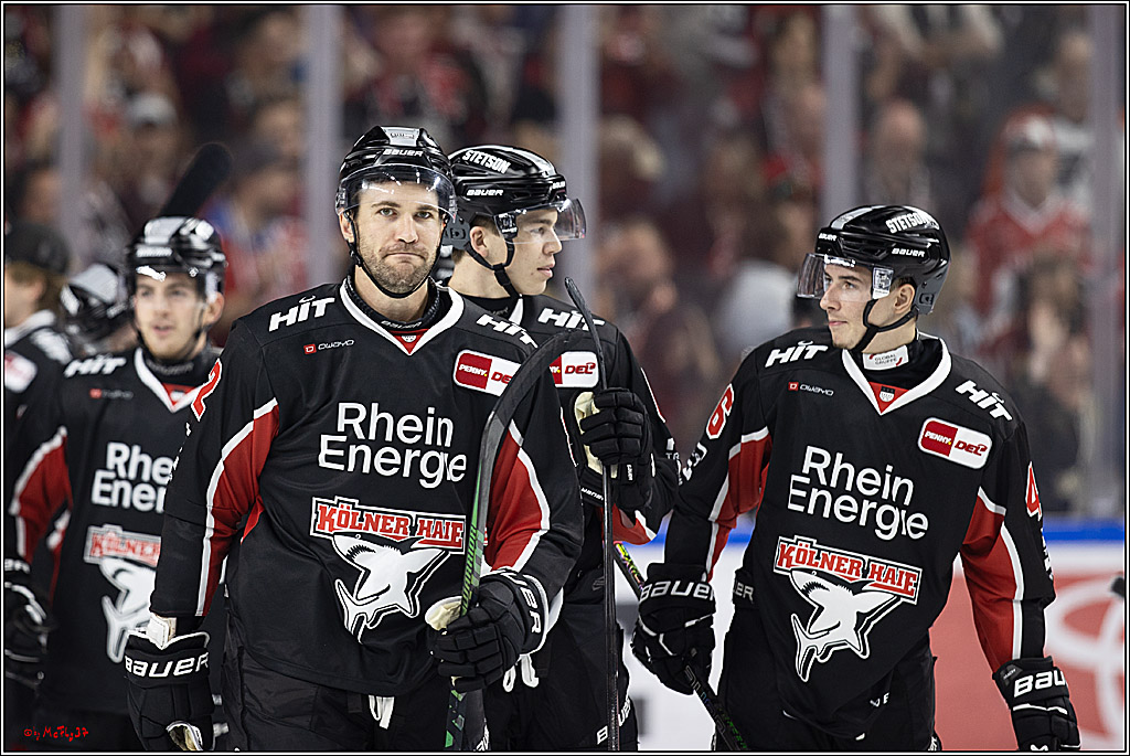 PENNY DEL 1; Kölner Haie - Adler Mannheim; Köln, 22.09.2024