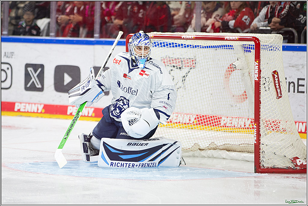 PENNY DEL; Koelner Haie- Staubing Tigers; Koeln, 03.10.2024