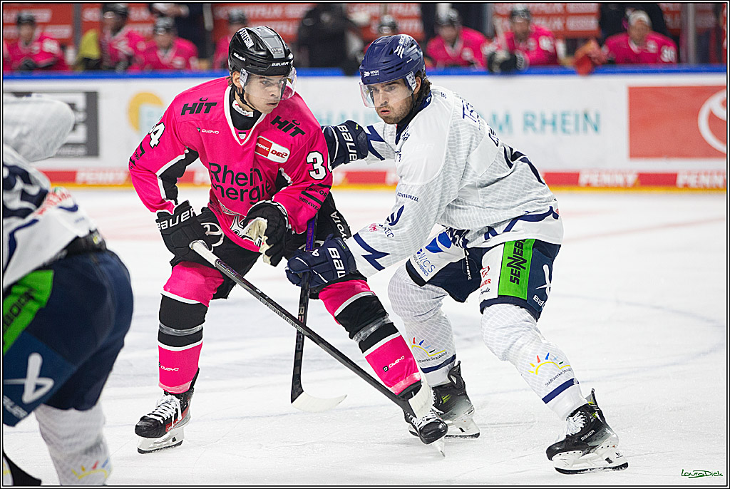 PENNY DEL; Koelner Haie- Staubing Tigers; Koeln, 03.10.2024