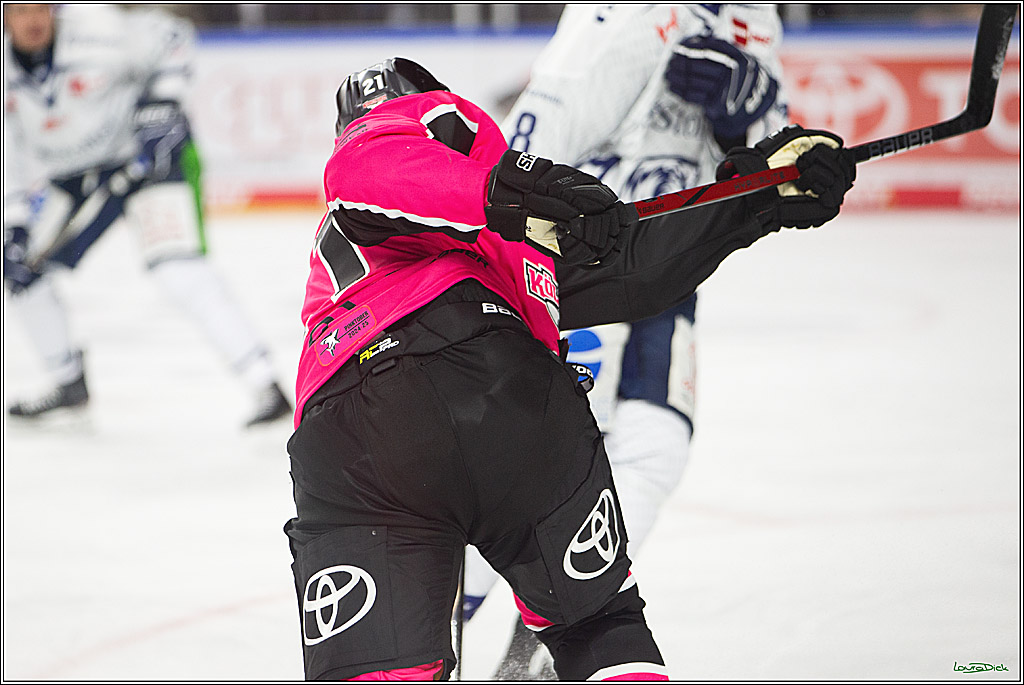PENNY DEL; Koelner Haie- Staubing Tigers; Koeln, 03.10.2024