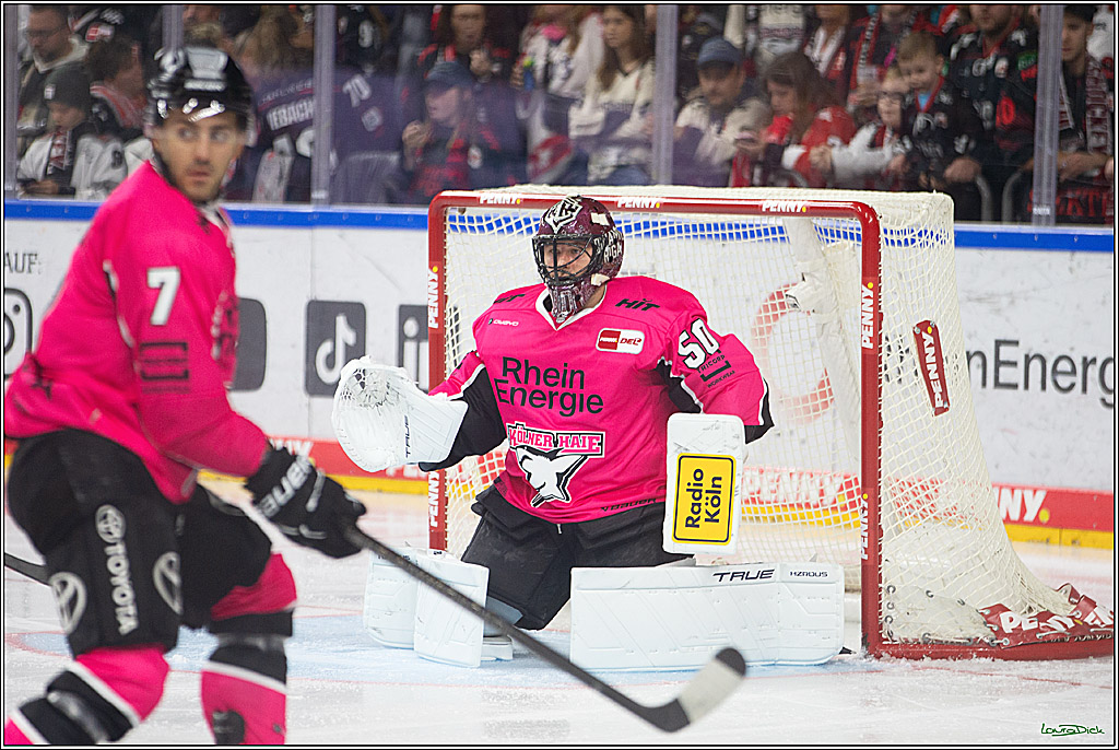 PENNY DEL; Koelner Haie- Staubing Tigers; Koeln, 03.10.2024