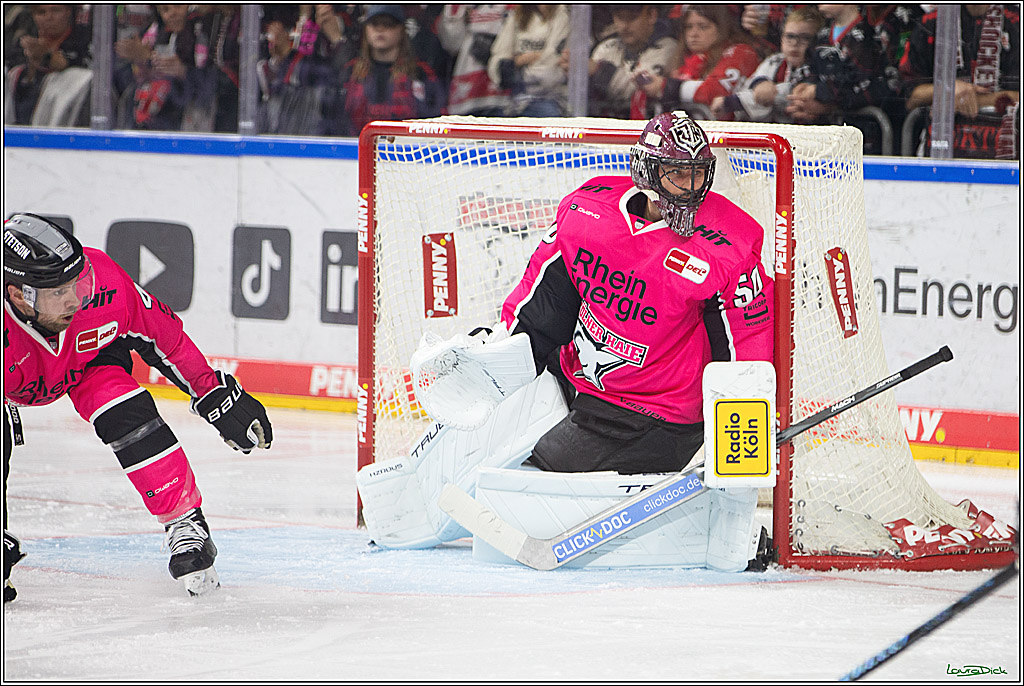 PENNY DEL; Koelner Haie- Staubing Tigers; Koeln, 03.10.2024