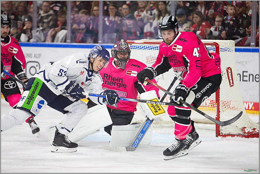 PENNY DEL; Koelner Haie- Staubing Tigers; Koeln, 03.10.2024