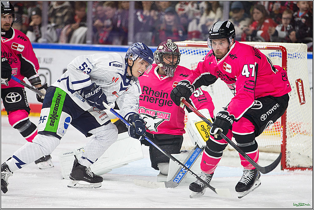 PENNY DEL; Koelner Haie- Staubing Tigers; Koeln, 03.10.2024