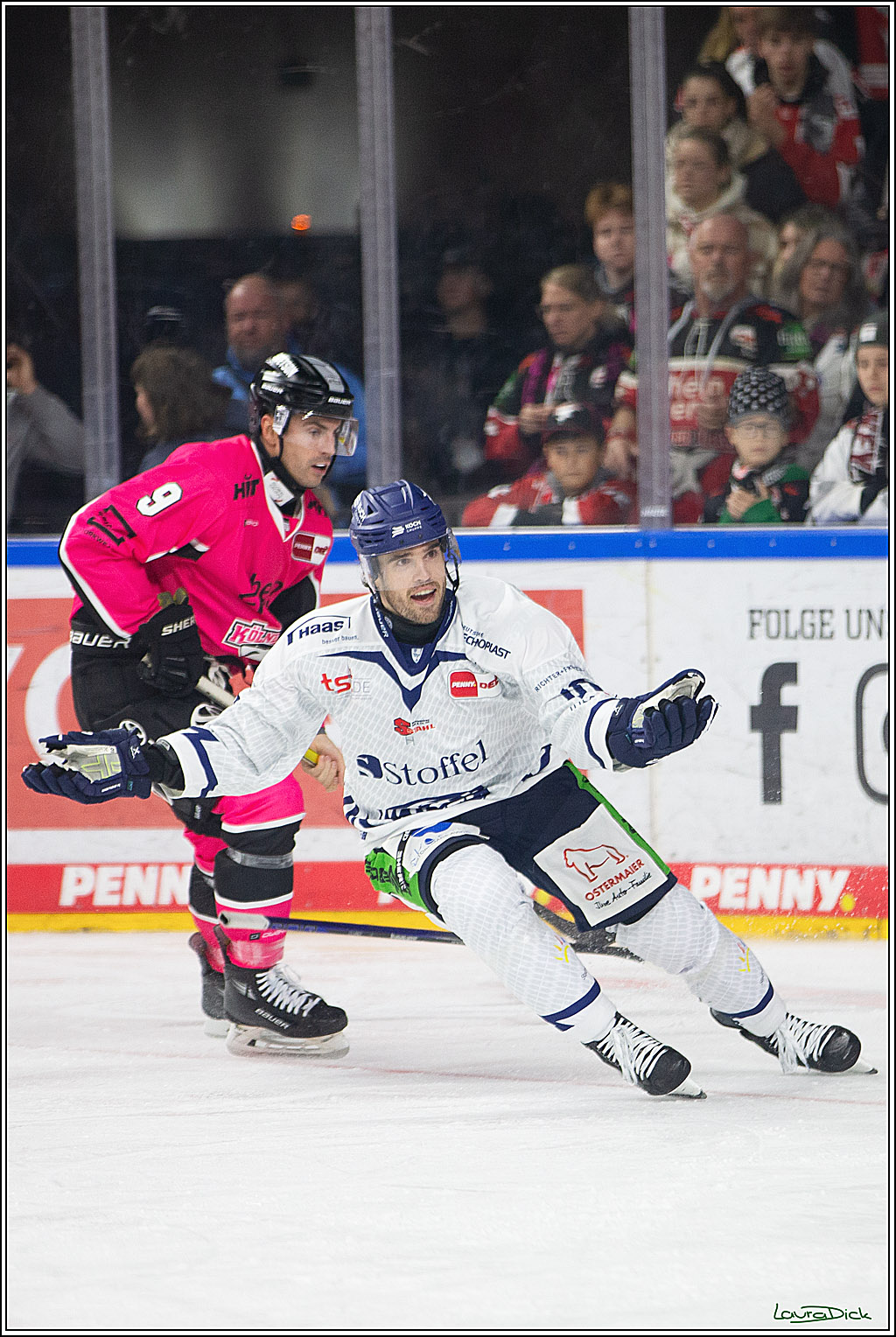 PENNY DEL; Koelner Haie- Staubing Tigers; Koeln, 03.10.2024