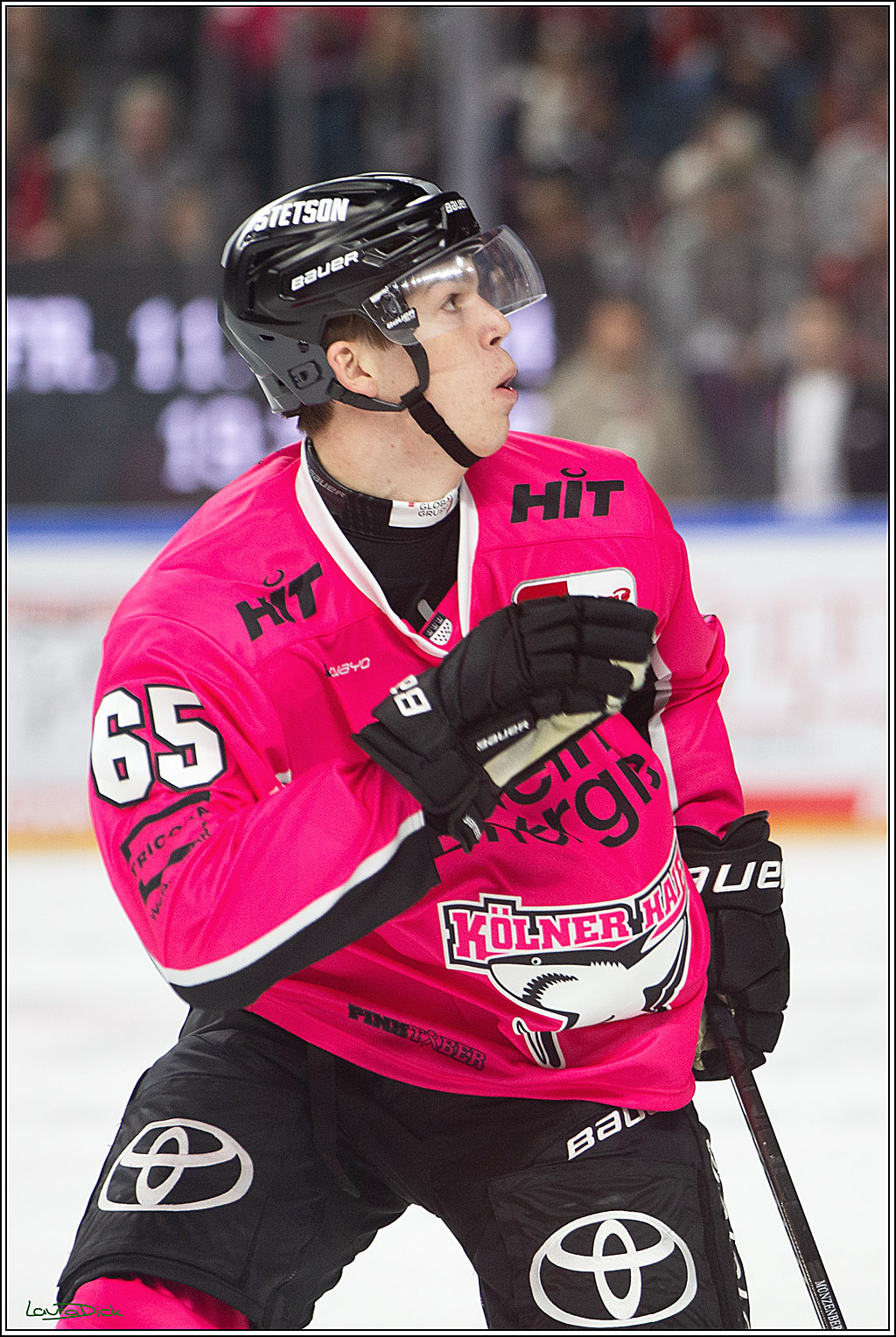 PENNY DEL; Koelner Haie- Staubing Tigers; Koeln, 03.10.2024