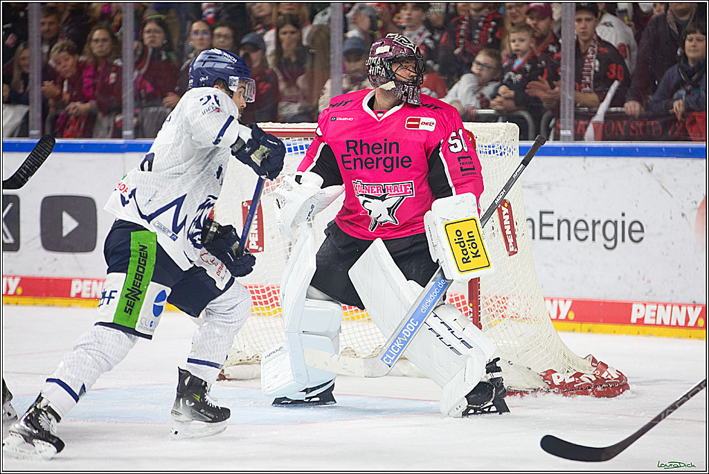 PENNY DEL; Koelner Haie- Staubing Tigers; Koeln, 03.10.2024