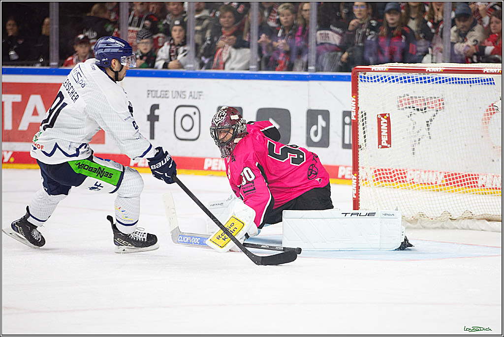 PENNY DEL; Koelner Haie- Staubing Tigers; Koeln, 03.10.2024