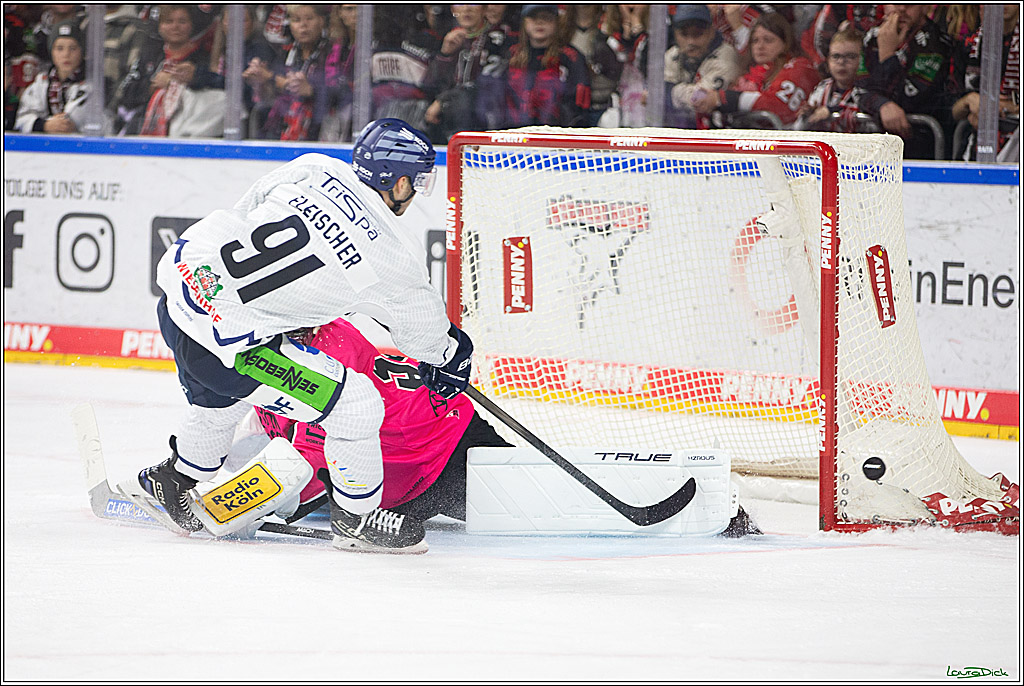 PENNY DEL; Koelner Haie- Staubing Tigers; Koeln, 03.10.2024