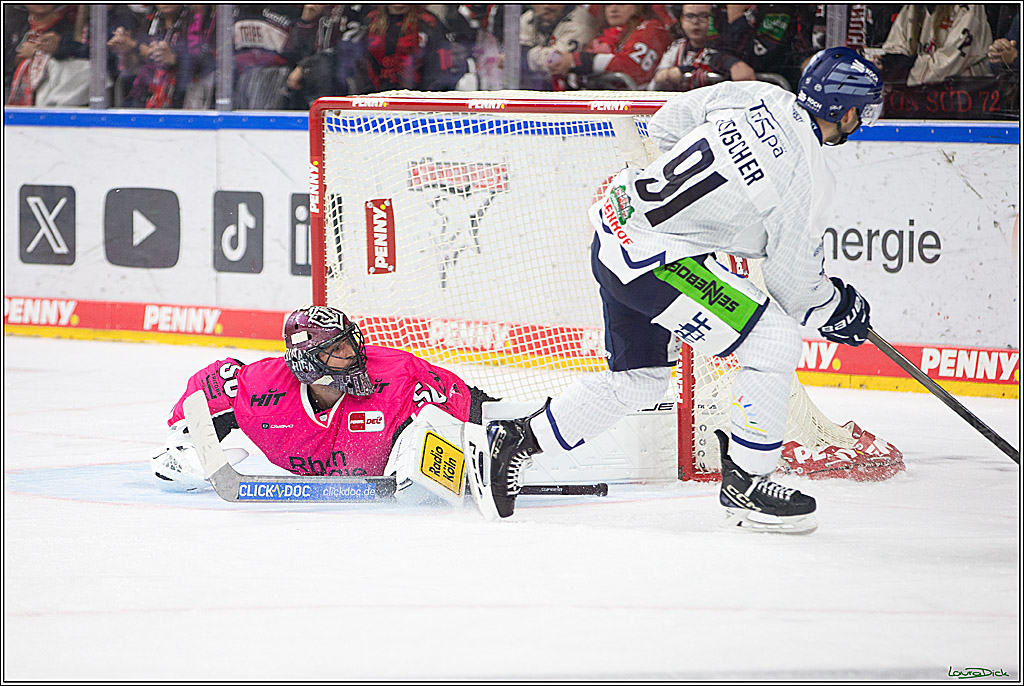 PENNY DEL; Koelner Haie- Staubing Tigers; Koeln, 03.10.2024