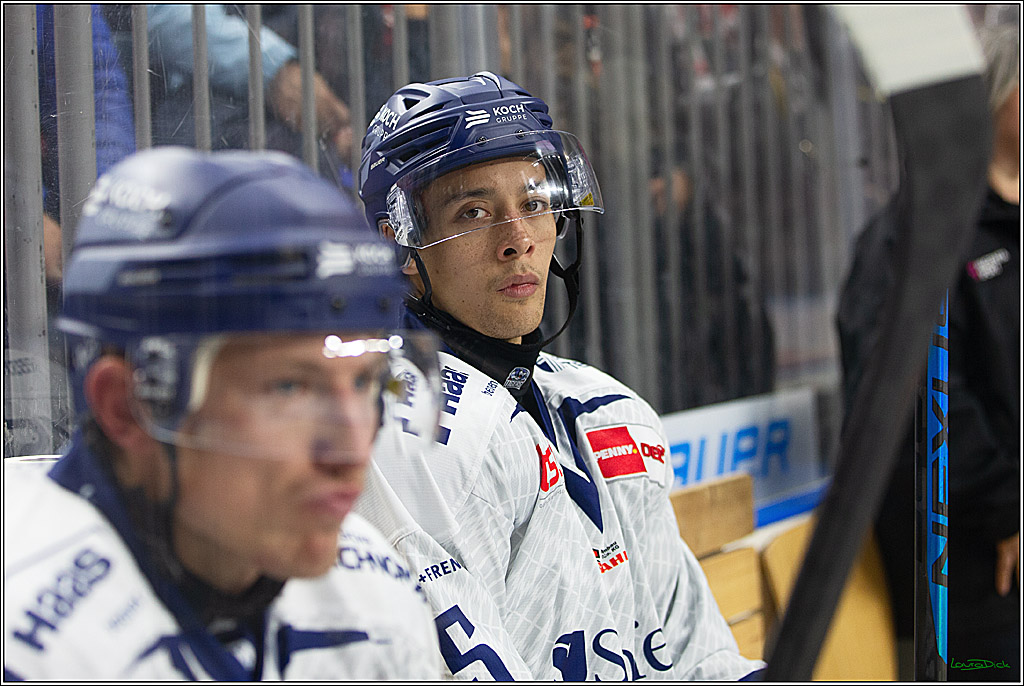 PENNY DEL; Koelner Haie- Staubing Tigers; Koeln, 03.10.2024
