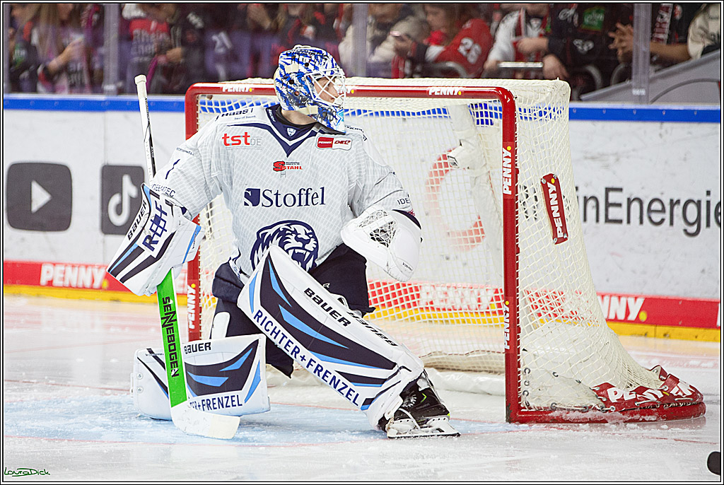 PENNY DEL; Koelner Haie- Staubing Tigers; Koeln, 03.10.2024