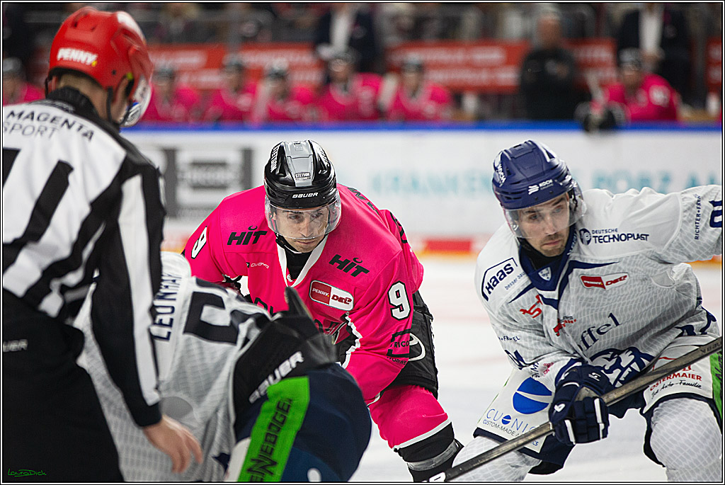 PENNY DEL; Koelner Haie- Staubing Tigers; Koeln, 03.10.2024