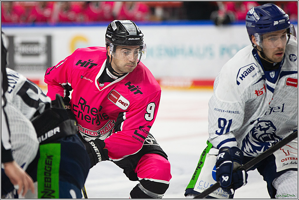 PENNY DEL; Koelner Haie- Staubing Tigers; Koeln, 03.10.2024