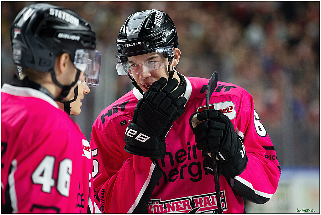 PENNY DEL; Koelner Haie- Staubing Tigers; Koeln, 03.10.2024