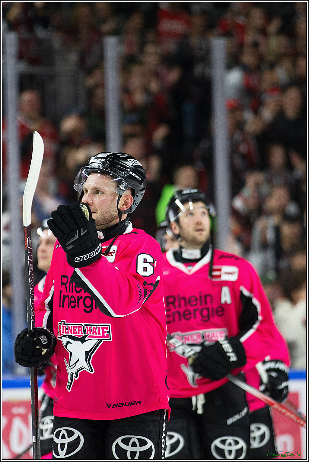 PENNY DEL; Koelner Haie- Staubing Tigers; Koeln, 03.10.2024