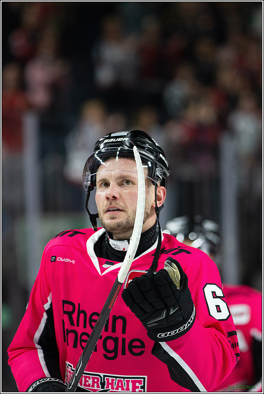 PENNY DEL; Koelner Haie- Staubing Tigers; Koeln, 03.10.2024