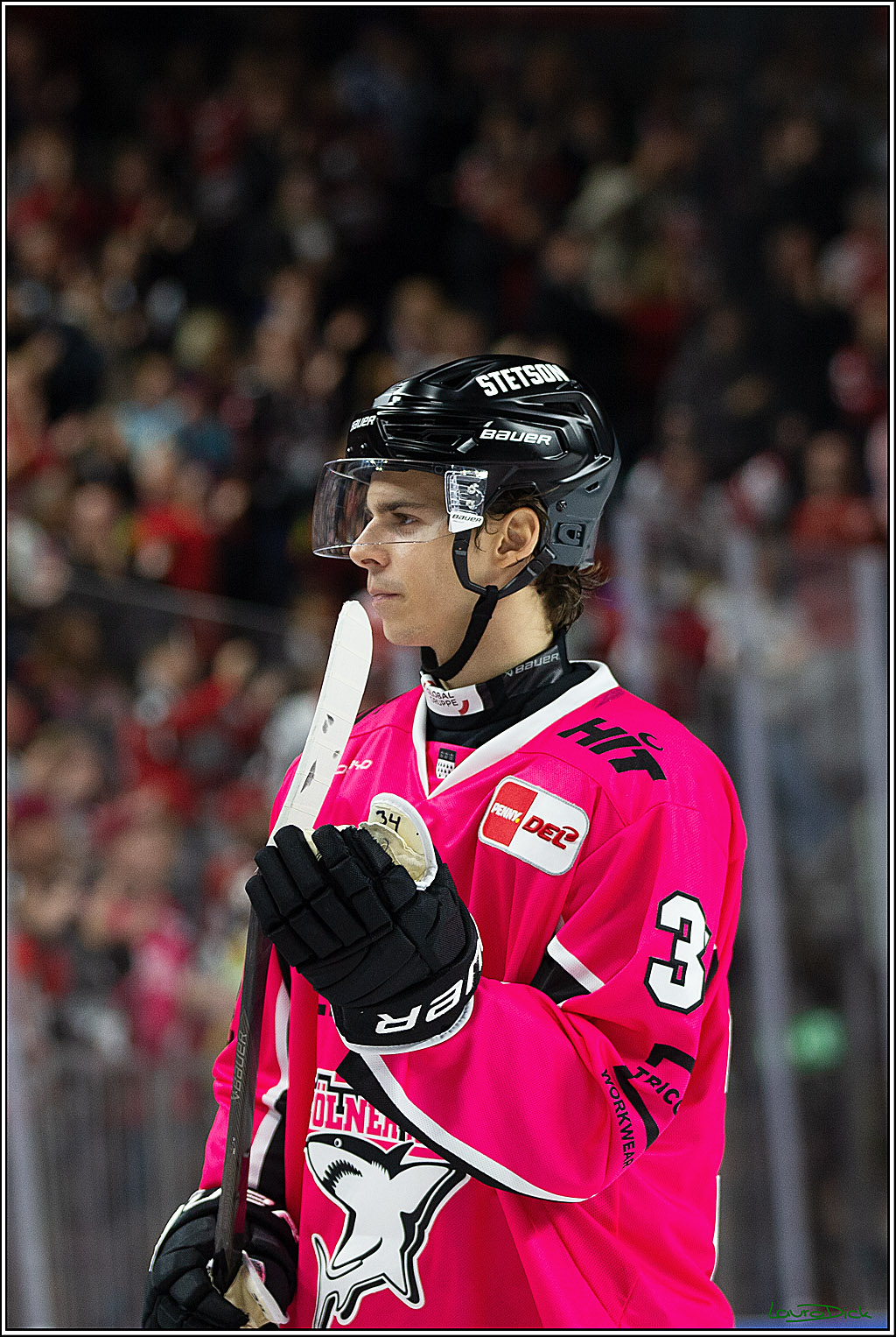 PENNY DEL; Koelner Haie- Staubing Tigers; Koeln, 03.10.2024